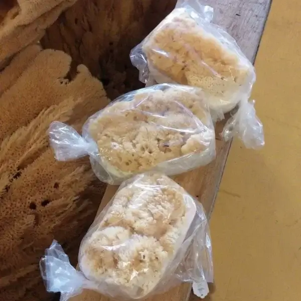 natural sponge embedded soap