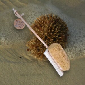 sponge loofah back scrubber